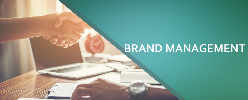 brand mangement dotmappers digital marketing